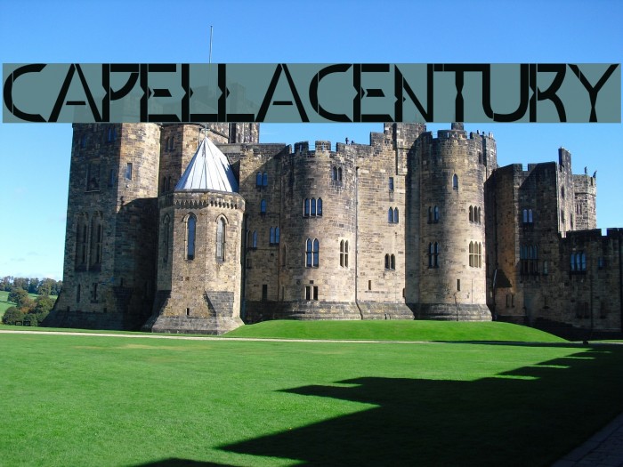 Capella Century Example 1