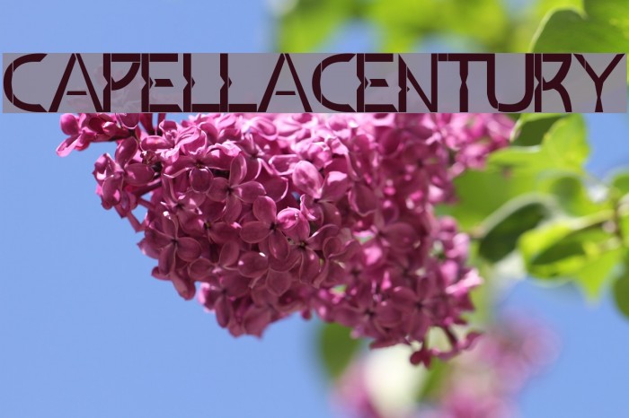 Capella Century Example 2