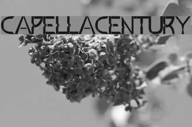 Capella Century Font examples