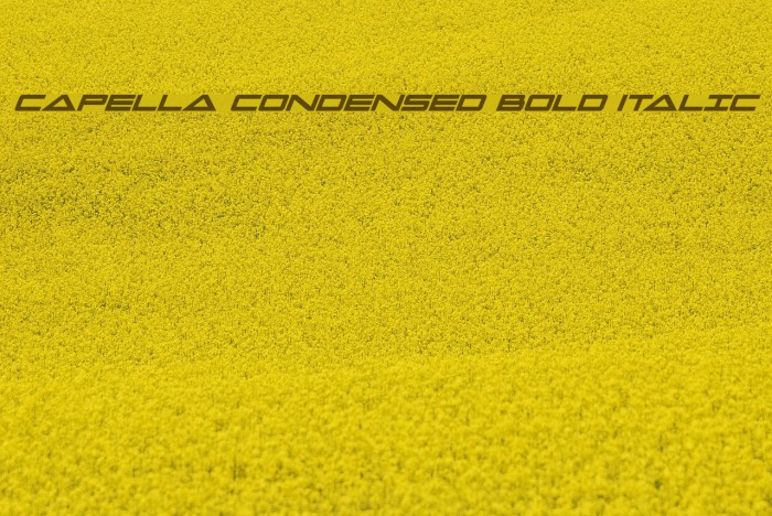 Capella Condensed Bold Italic Font examples