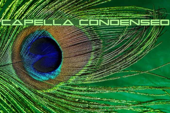 Capella Condensed Font examples