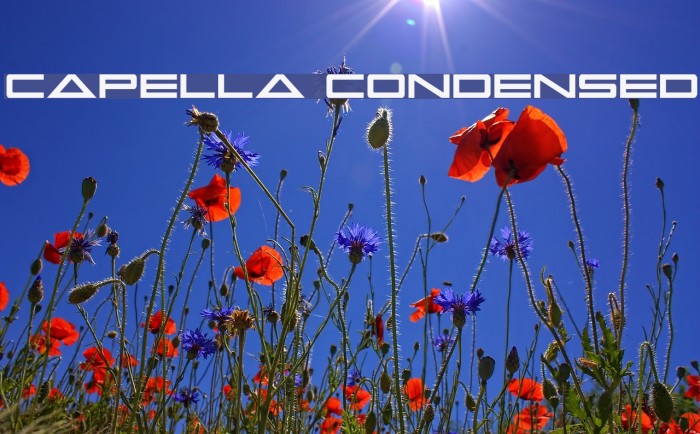 Capella Condensed Font examples