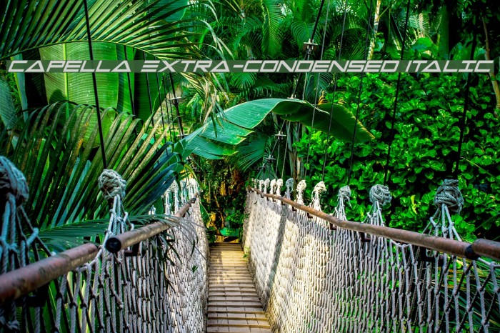 Capella Extra-condensed Italic Example 2