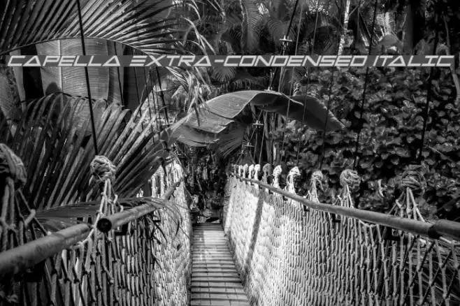 Capella Extra-condensed Italic Font examples