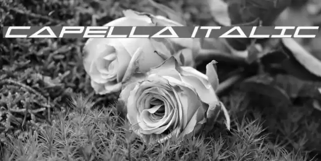 Capella Italic Font examples
