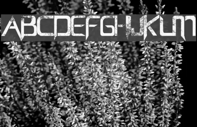 Capella (Rock) - LJ Design Studios Bold Font examples