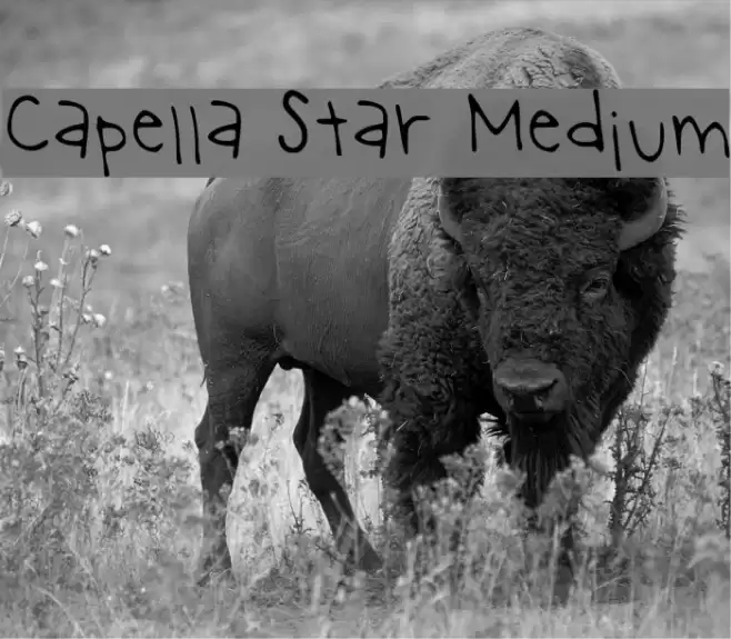 Capella Star Medium Font examples
