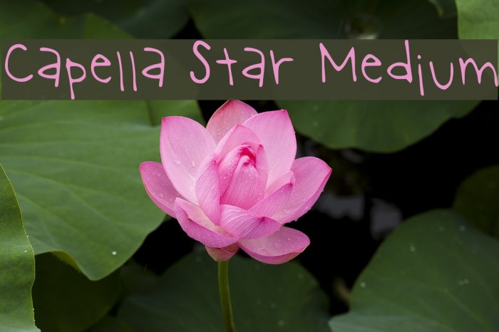 Capella Star Medium Font examples