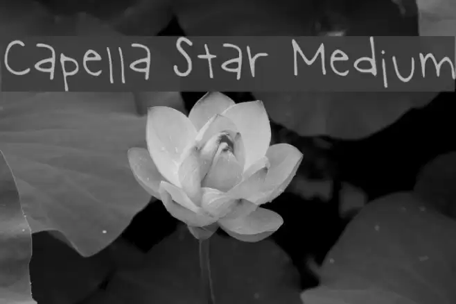 Capella Star Medium Font examples