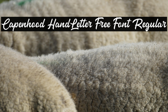 Capenhood HandLetter Free Font Regular Example 2