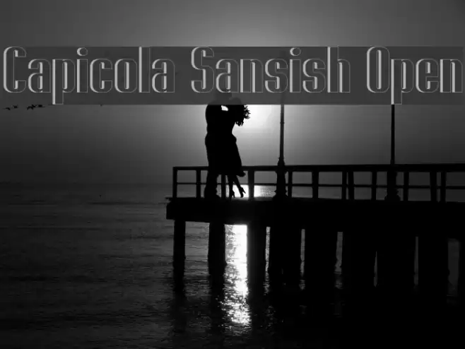Capicola Sansish Open Font examples