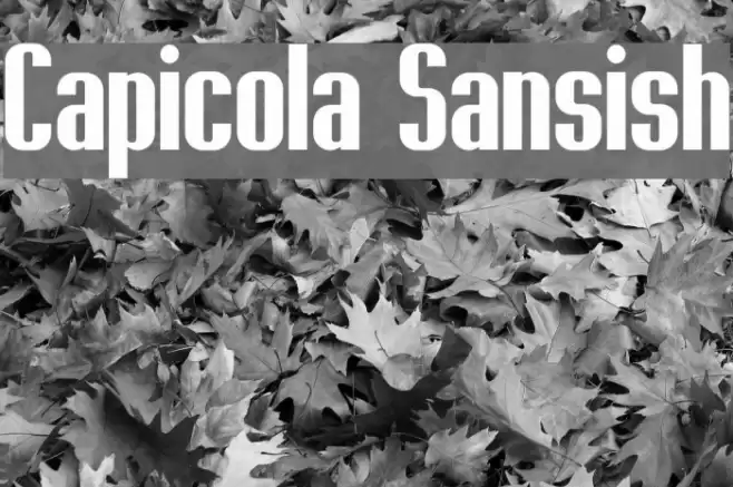 Capicola Sansish Font examples