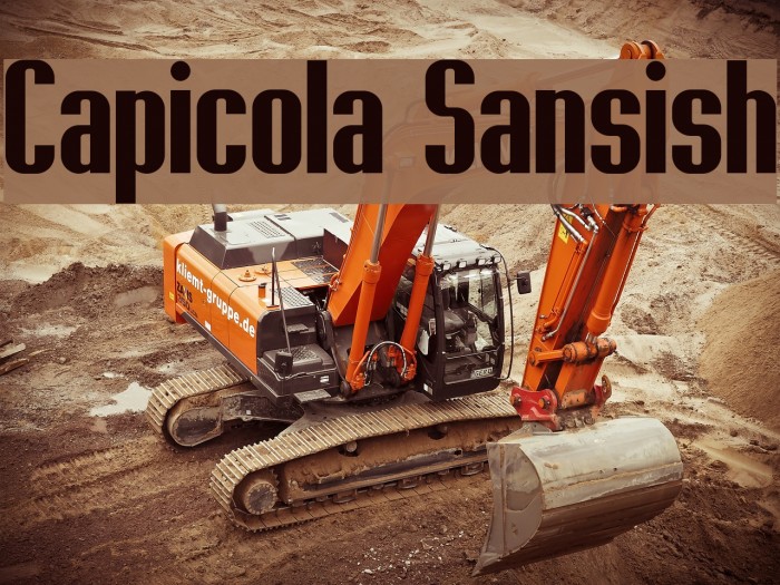Capicola Sansish Example 2