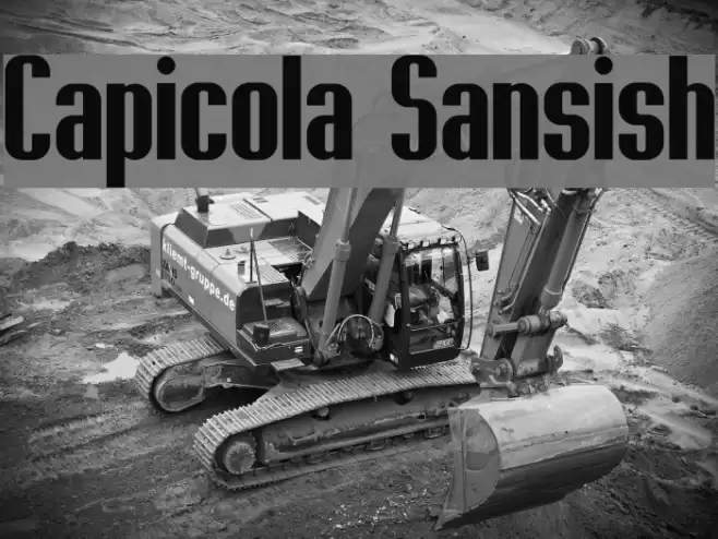 Capicola Sansish Font examples