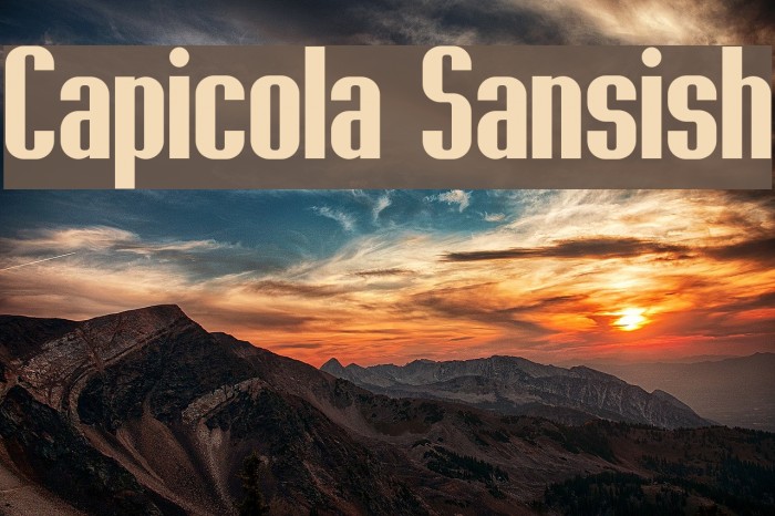 Capicola Sansish Example 3