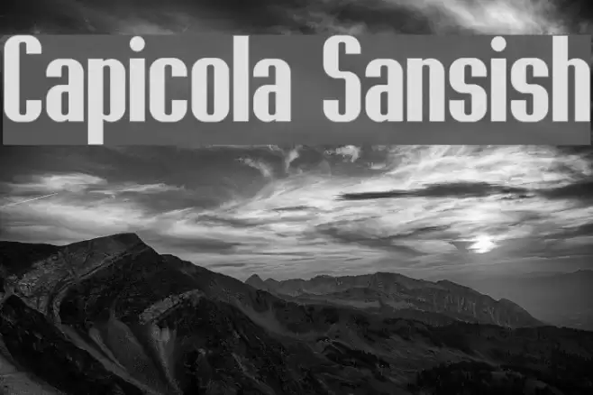 Capicola Sansish Font examples