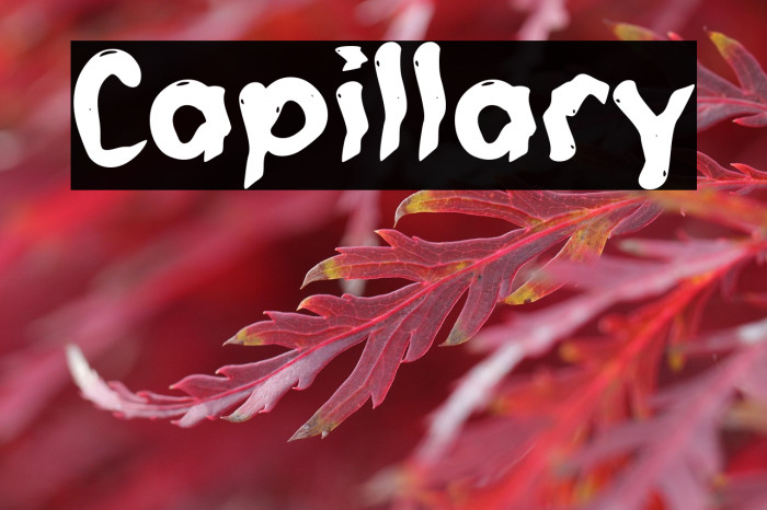 Capillary Example 1