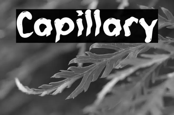 Capillary Font examples