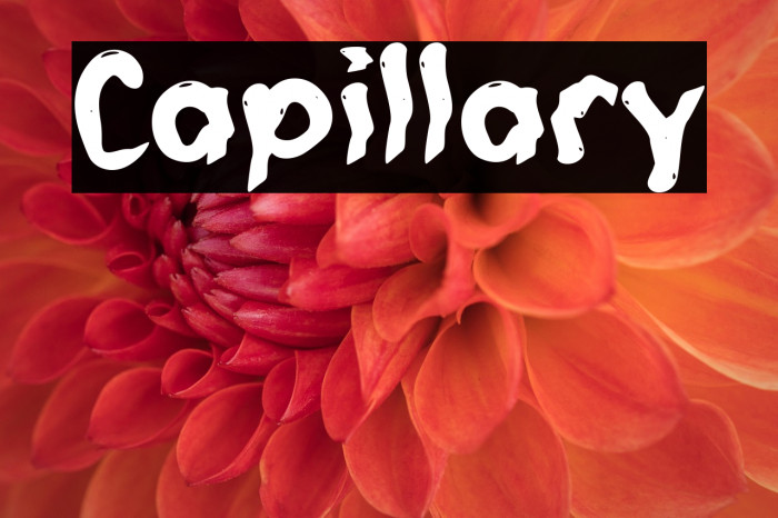 Capillary Example 3