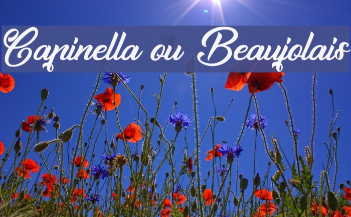 Capinella ou Beaujolais Font examples