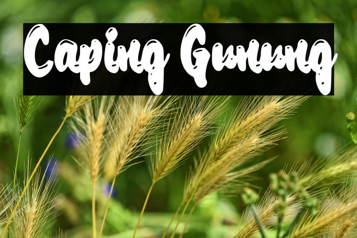 Caping Gunung Example 1