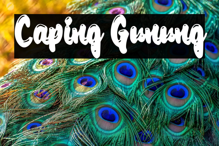 Caping Gunung Example 2