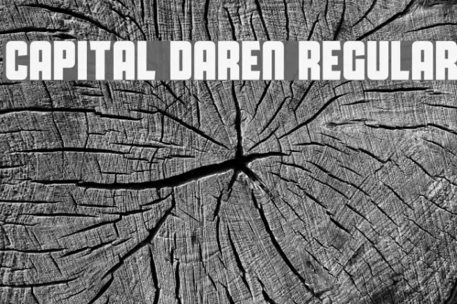 Capital Daren Regular Font examples