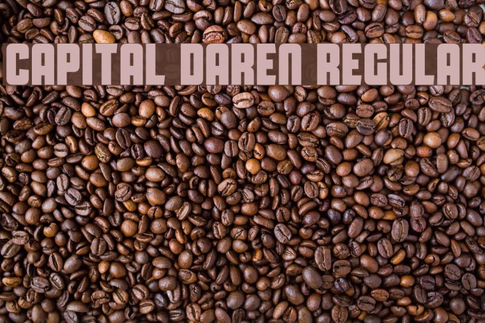 Capital Daren Regular Font examples