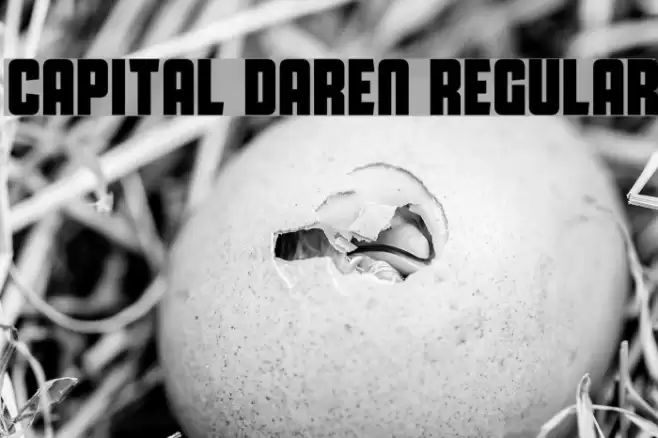 Capital Daren Regular Font examples