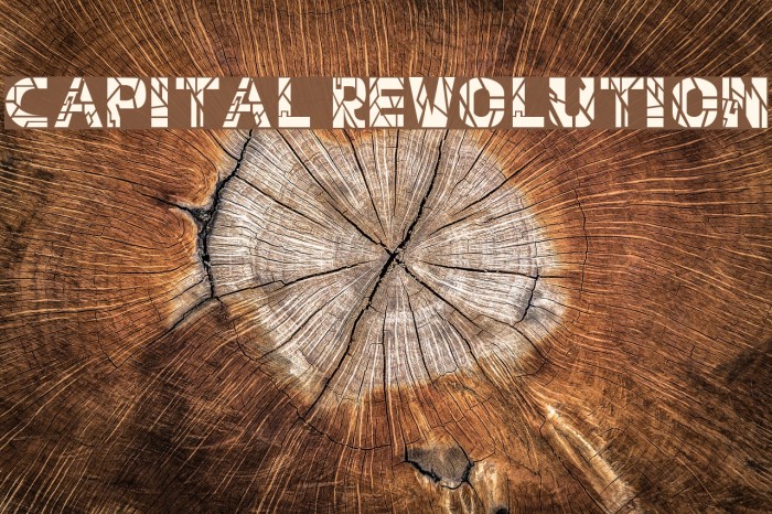 Capital Revolution Font examples