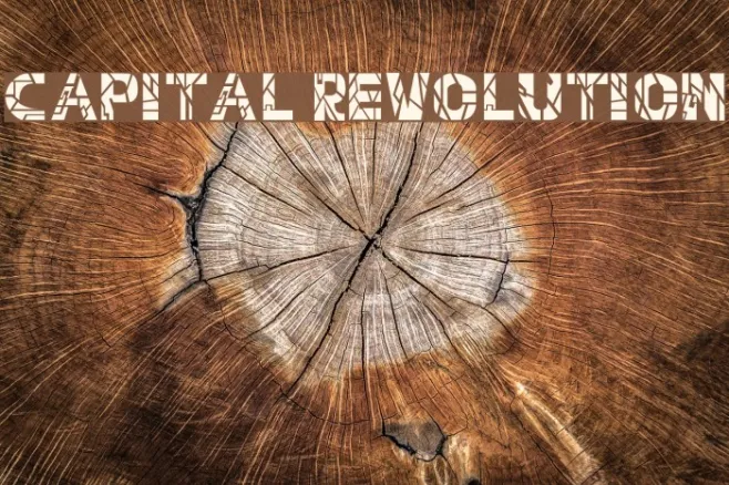 Capital Revolution Example 1