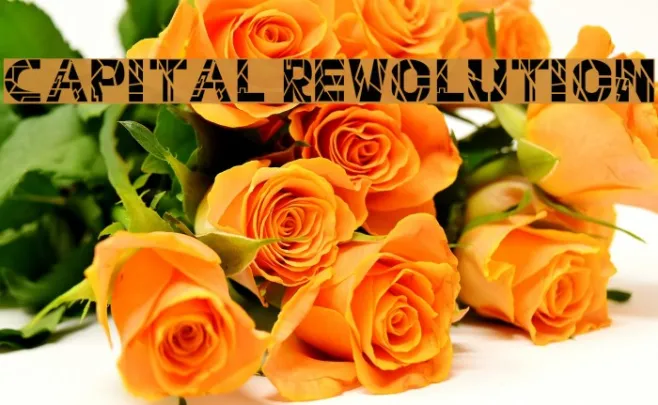 Capital Revolution Example 2