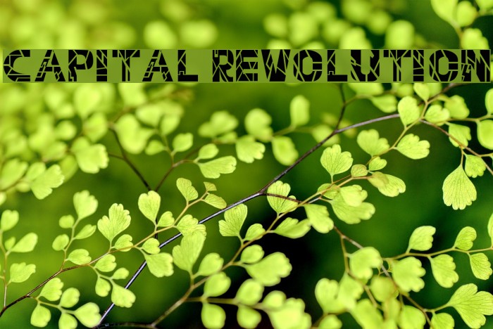 Capital Revolution Font examples