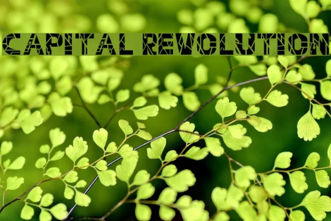 Capital Revolution Example 3