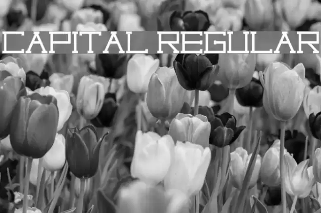 Capital regular Fonte examples