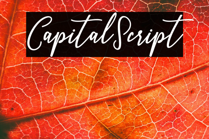 CapitalScript Example 2