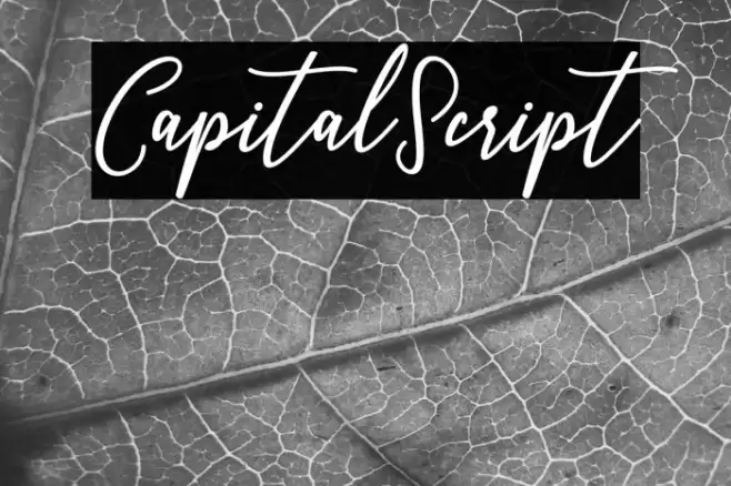 CapitalScript फ़ॉन्ट examples