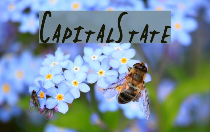 CapitalState Font examples
