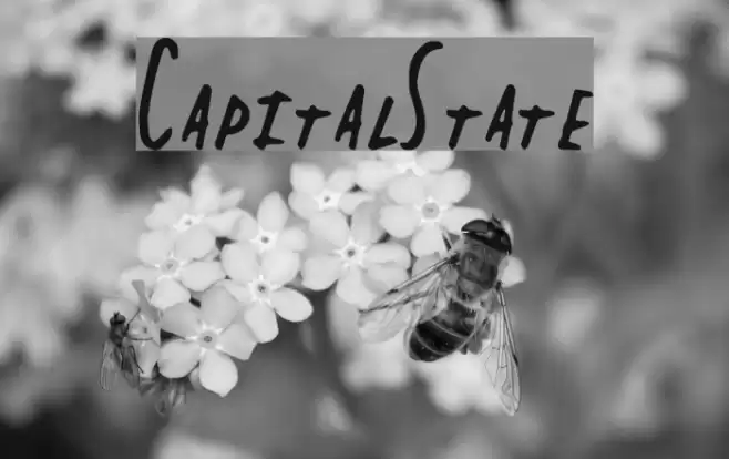 CapitalState Шрифта examples