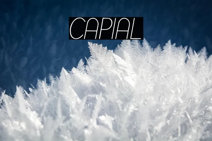 Capital Example 1