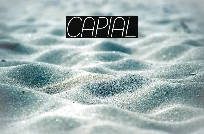Capital Example 2