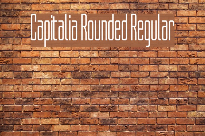 Capitalia Rounded Regular Font examples