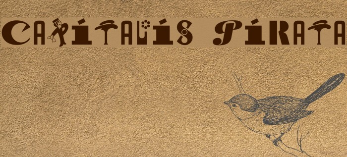 Capitalis Pirata Font examples