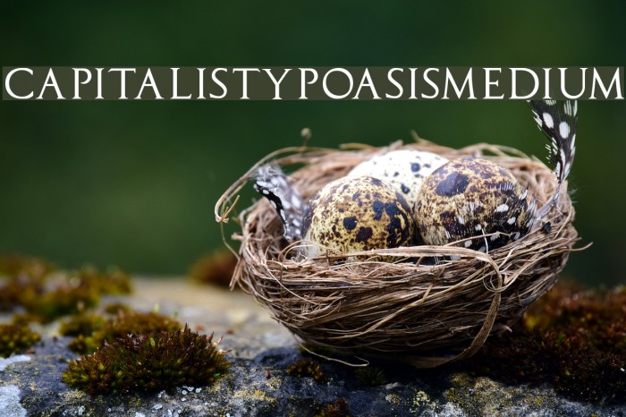 CapitalisTypOasisMedium Font examples