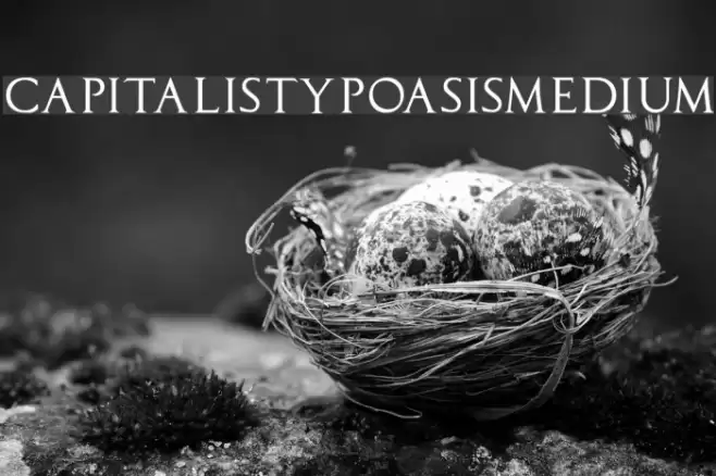 CapitalisTypOasisMedium Шрифта examples