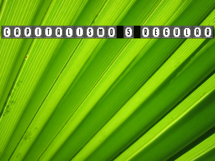 Capitalismo 5 Regular Font examples