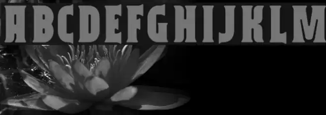 Capitalist フォント examples