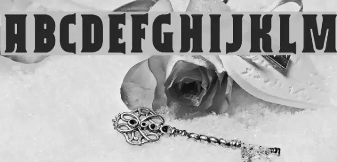 Capitalist フォント examples