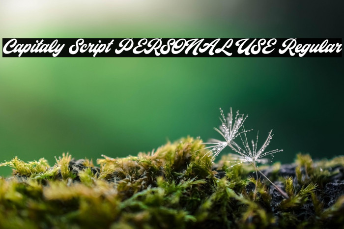 Capitaly Script PERSONAL USE Regular Example 1