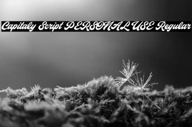 Capitaly Script PERSONAL USE Regular Font examples